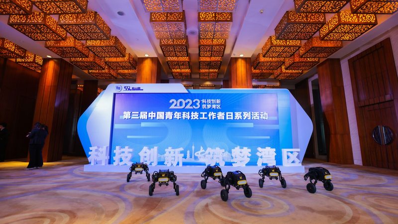 数据湖建设：企业数字化转型的关键一步**